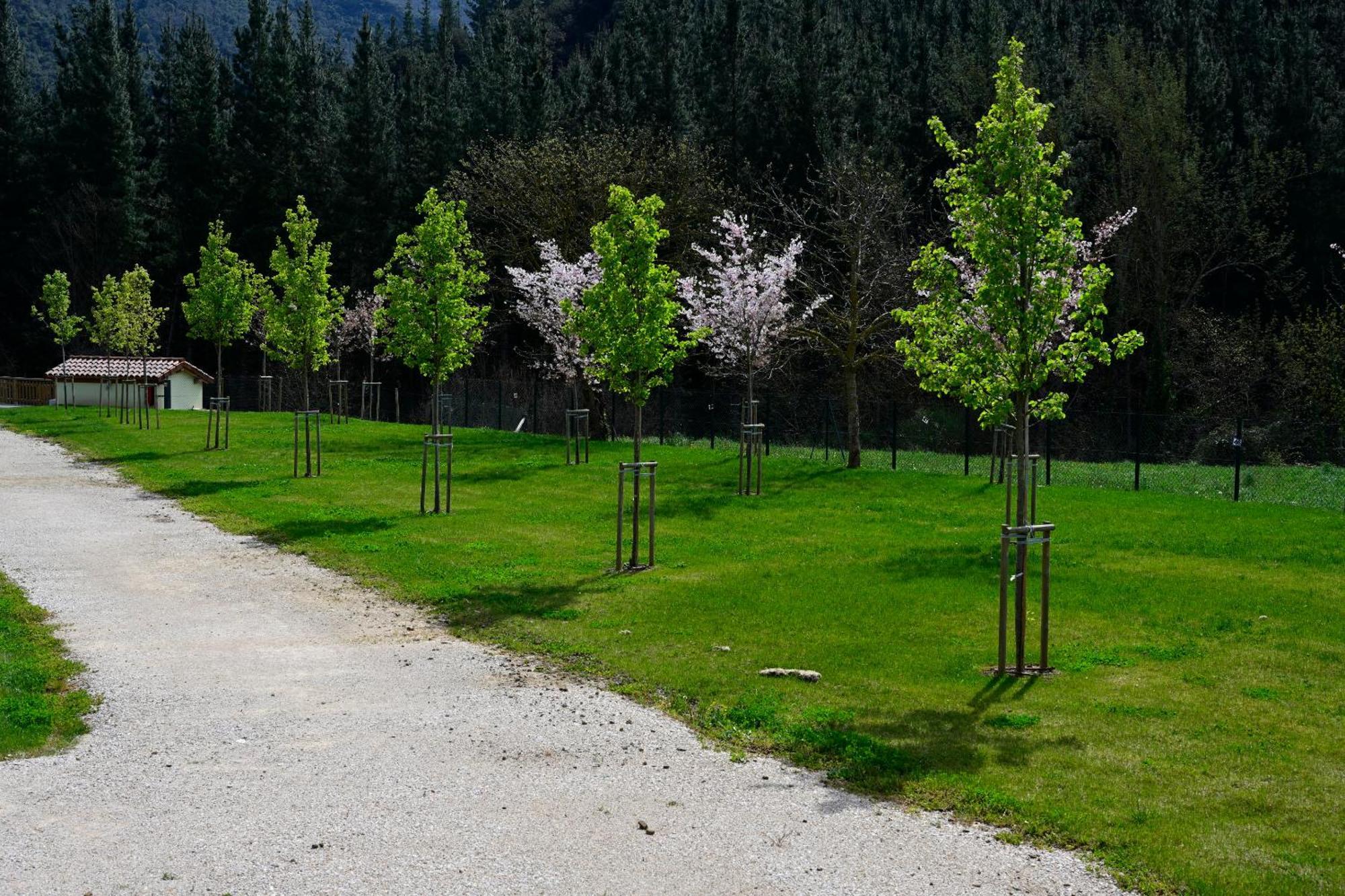 Camping Liebana Cabezón de Liébana Exterior foto